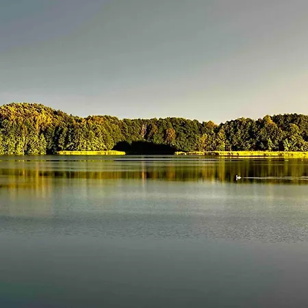 Wpadnij Do Lasu , Sosenka *