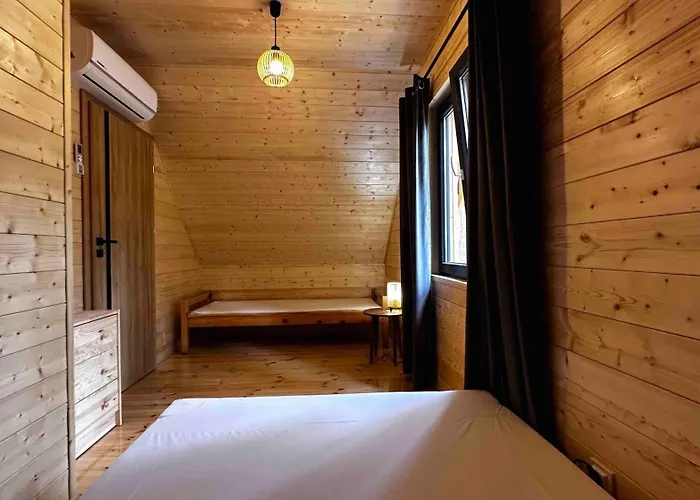 Wpadnij Do Lasu , Sosenka Сasa de vacaciones