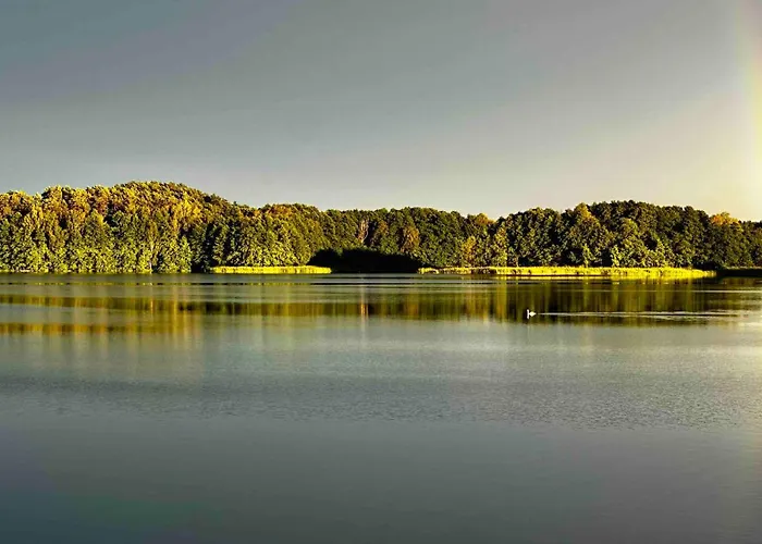 Wpadnij Do Lasu , Sosenka *